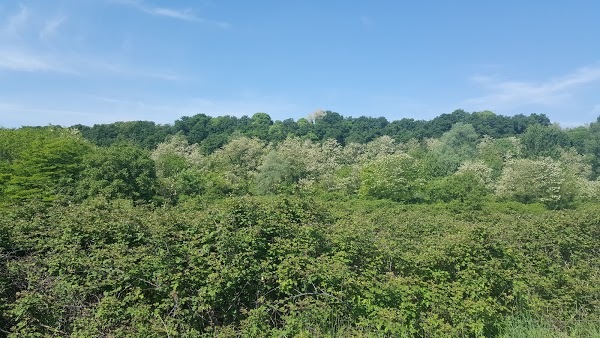 Agriturismo La Quiete, Valeggio Sul Mincio