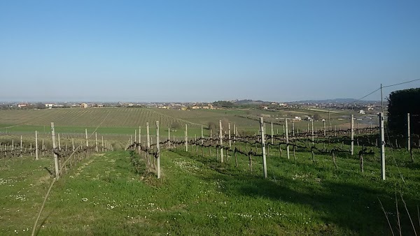 Bar Amati, Santarcangelo di Romagna