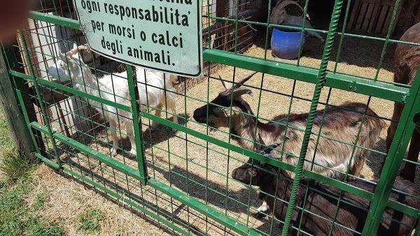 Foto di Agriturismo Cascina Vittoria - 8/10