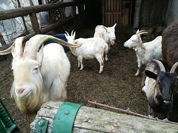 Foto di Agriturismo Cascina Vittoria - 6/10