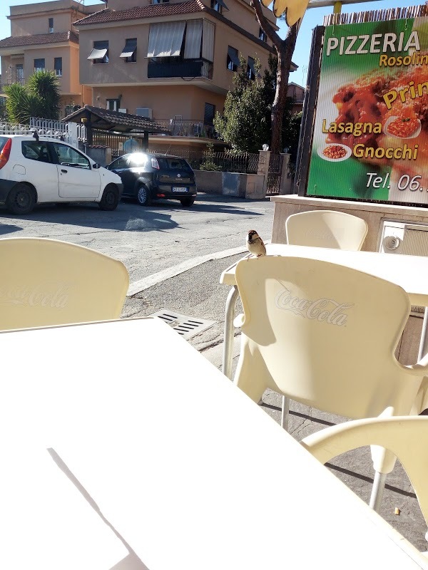 Pizzeria R. Giusi Di Vasile Rosolino, Roma