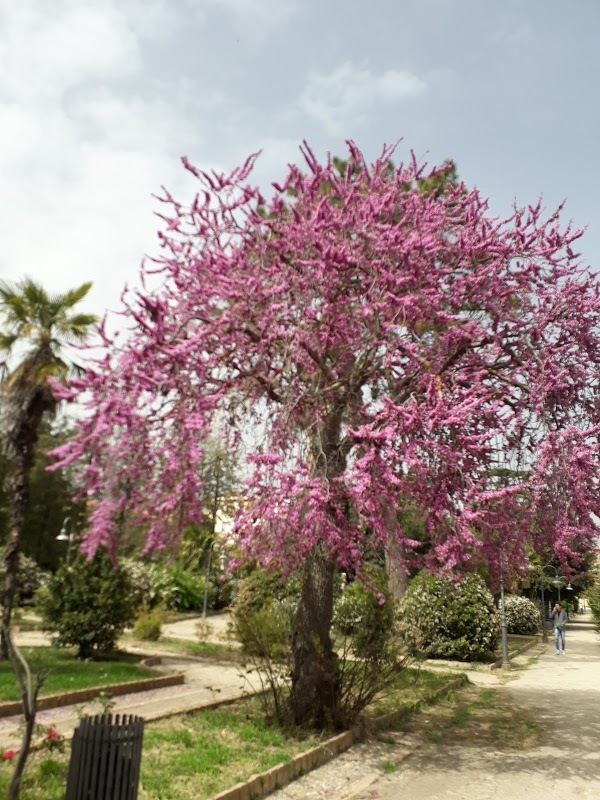 Foto di Tie Break Ristorante Tennis Club Villa Amedeo - 6/10