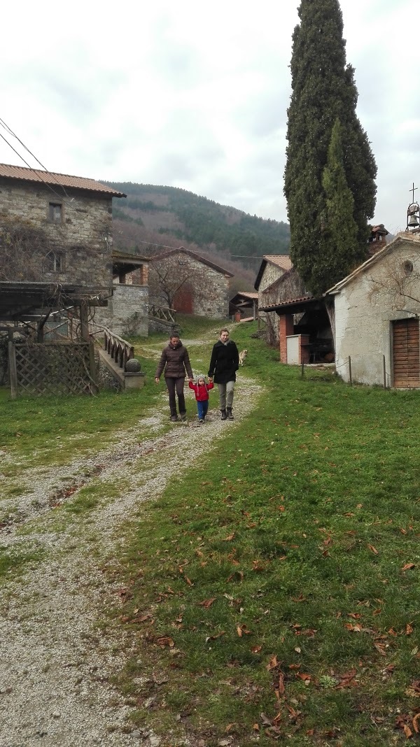 Fattoria Sant'apollinare, Pieve Santo Stefano