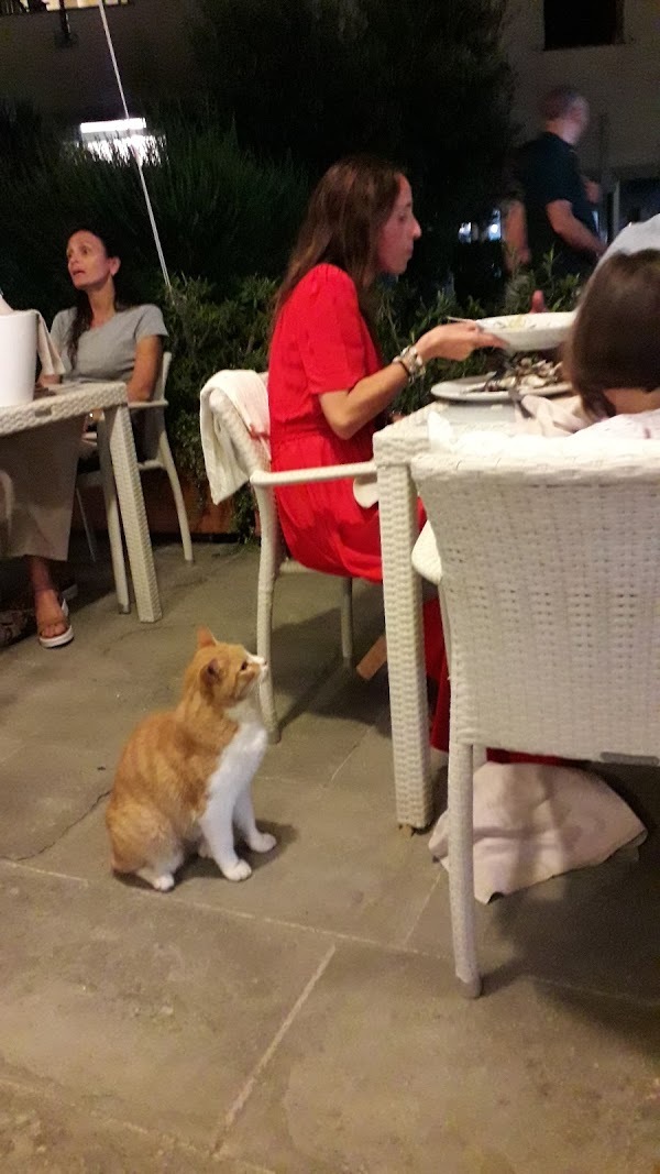 Ristorante Lo Scalino, Castiglione Della Pescaia