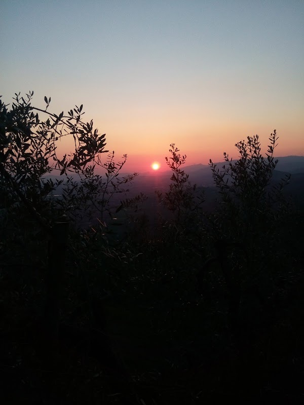 Podere Calistri, Larciano