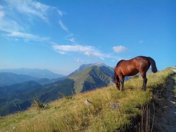 Rifugio Sibilla 1540, Montemonaco