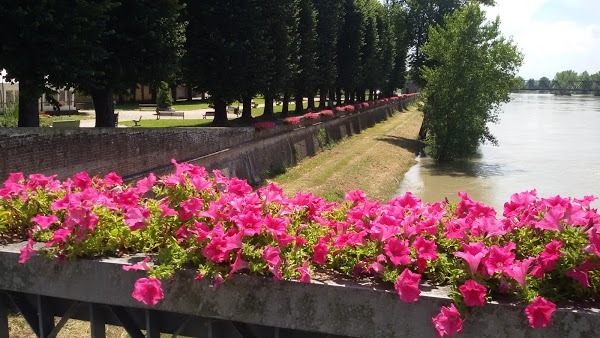 Il Giardino Pizzeria Ristorante, Pizzighettone