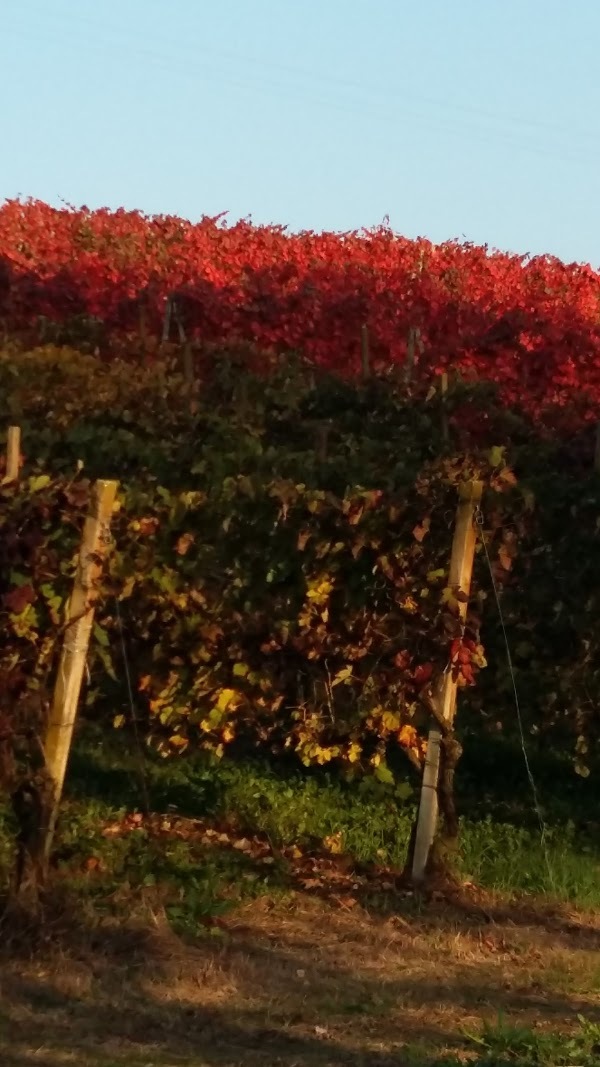 Osteria Il Sole E L'uva, Montu' Beccaria