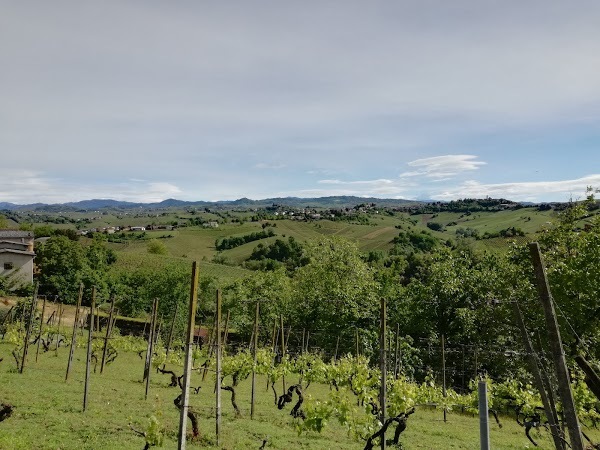 Piccolo Bacco Dei Quaroni, Montu' Beccaria