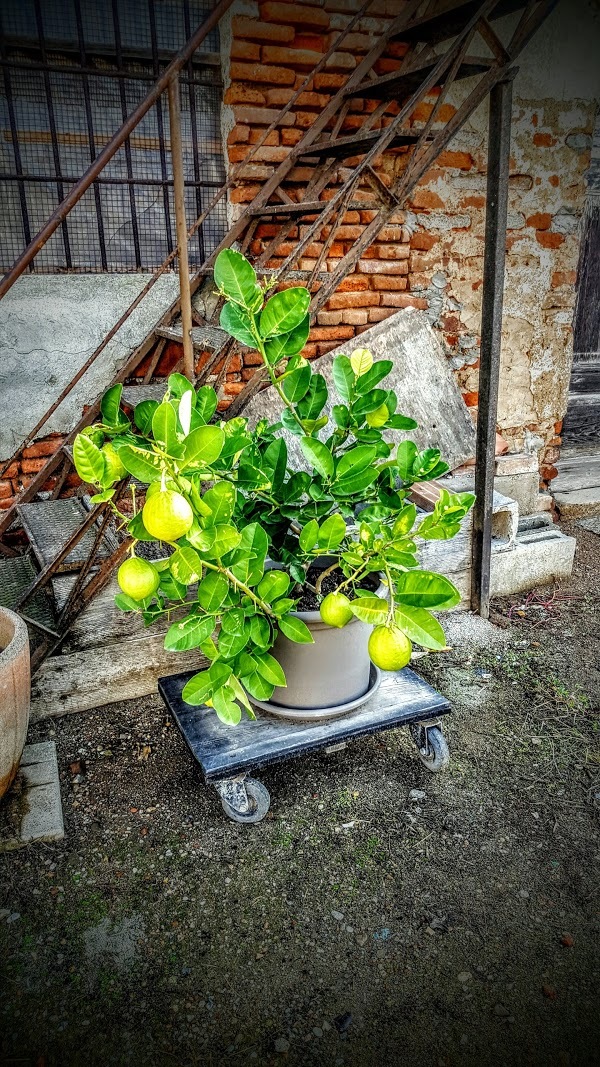 Ristorante Cacciatori E Pescatori, Giussago