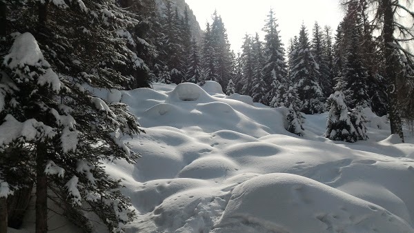 Rifugio Aquileia, Selva di Cadore