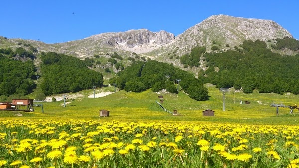 La Tana Del Lupo, San Massimo