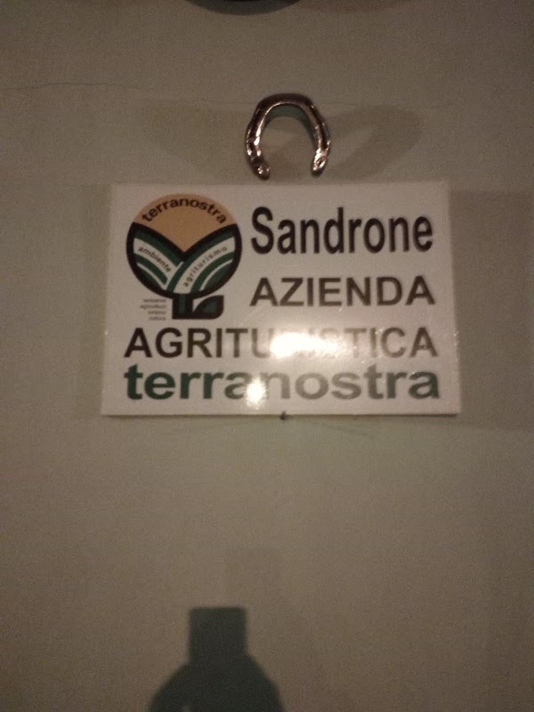 Sandrone, Vinovo