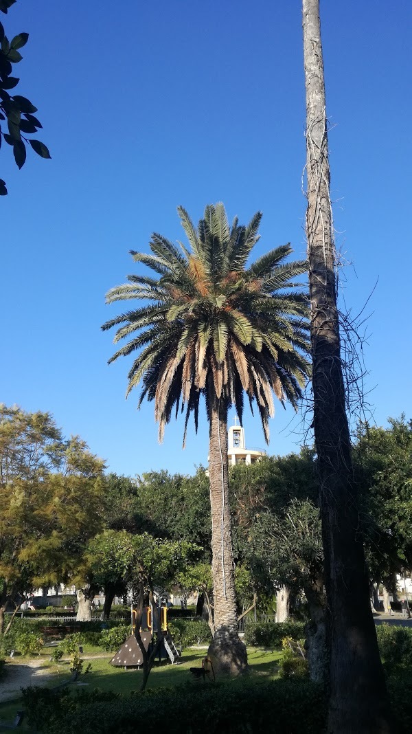 Il Cavallino Rosso, Siracusa