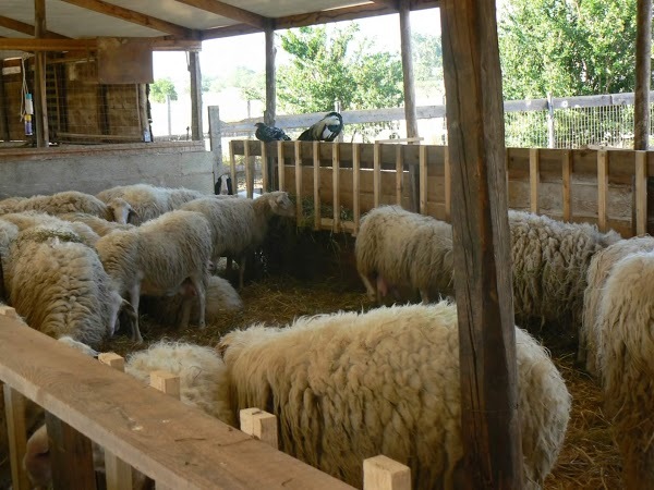 Sanlorenzo Agriturismo, Noto