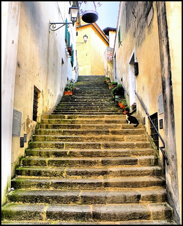 La Cucina Del Borgo, Cerreto Guidi