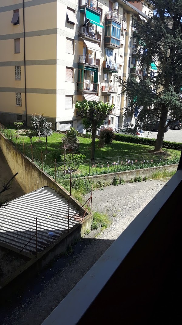 Gelatando Tre P, Firenze