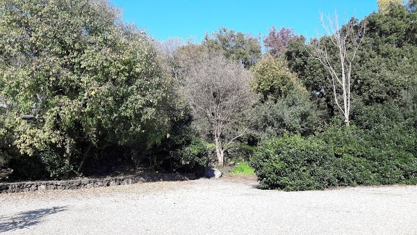 Il Bosco Di Alberolungo, Acireale