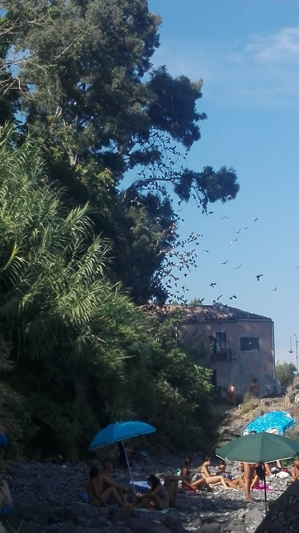 Le Delizie Del Grano, Catania