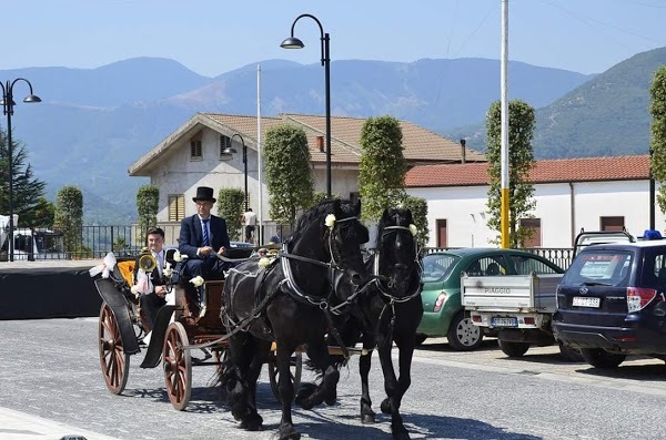 Il Carro Di Grano Di Silvestri Elisabetta, Foglianise