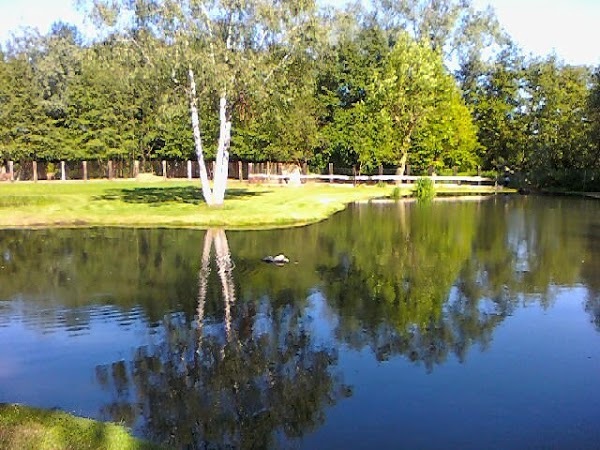 Foto 2