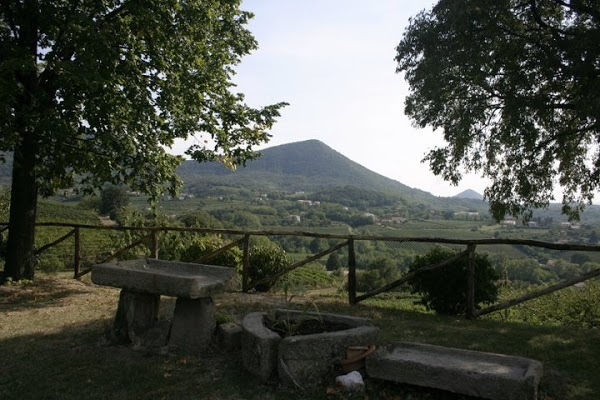 Fattoria Dell'eremo, VÃ²