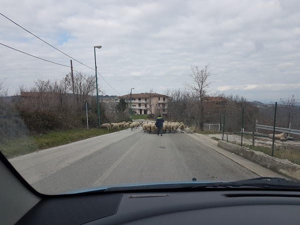 Ristorante E Pizzeria Da Rodolfo, Chiusano di San Domenico