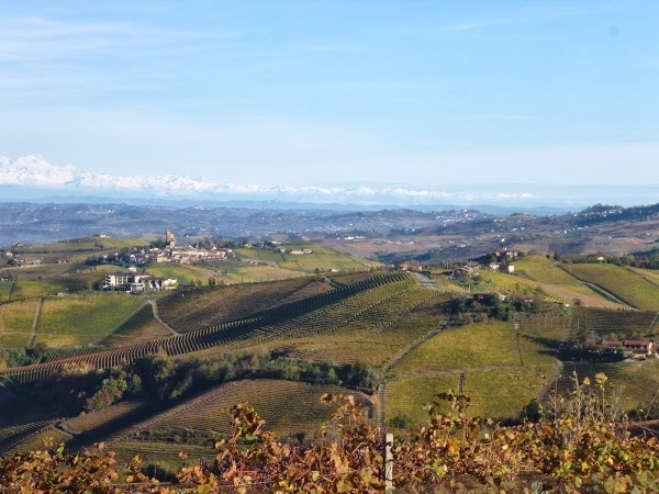 La Torricella, Monforte d&#39;Alba