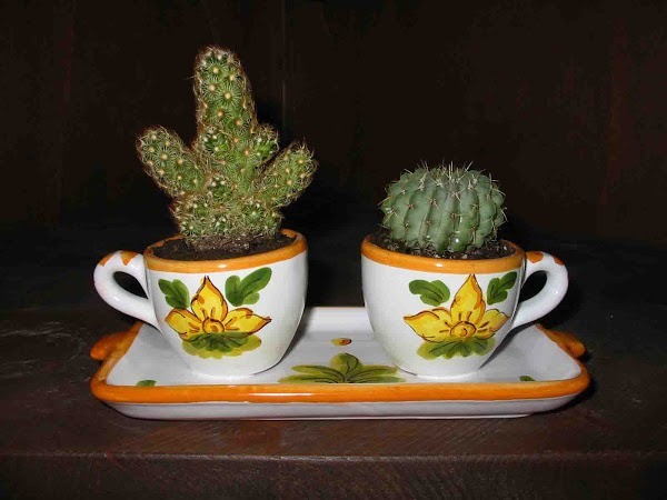 Foto 5