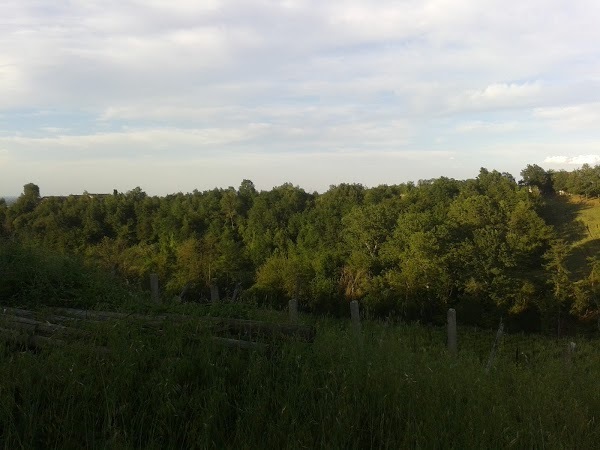 La Buca Societa Agricola, Castell&#39;Arquato