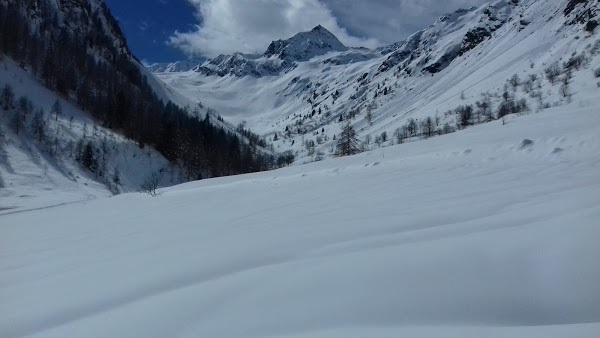 La Tana Della Marmotta, Vinadio