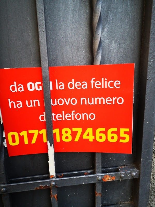 La Dea Felice, Vignolo