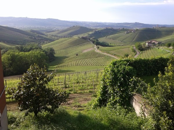 Nuovo Tre Stelle, Barbaresco