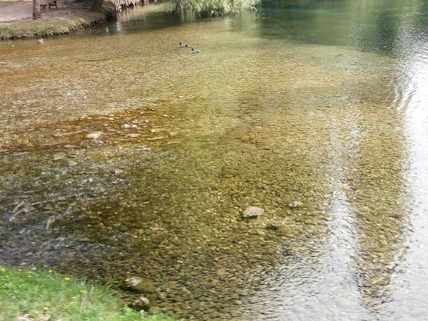 Fonti del Clitunno