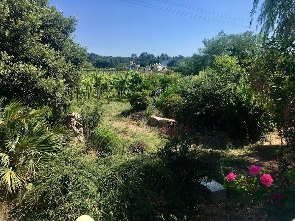 Tenuta Santoro, Ostuni