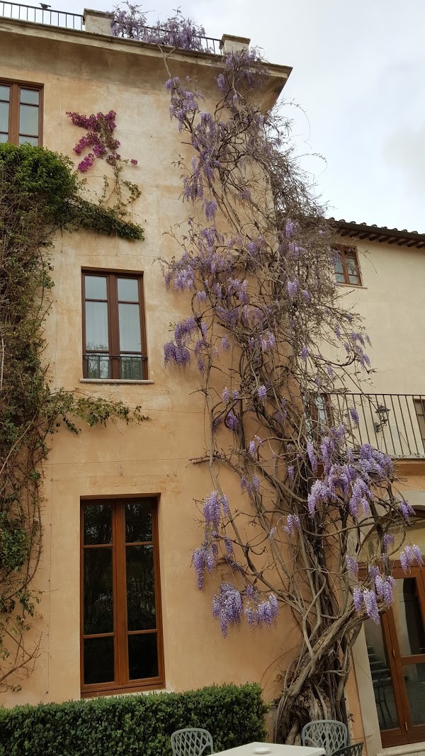 Le Scuderie, Civita Castellana