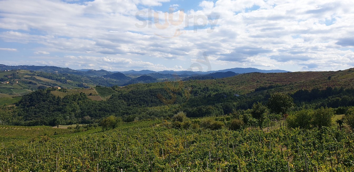 Azienda Agricola Camponoce, Montalto Pavese