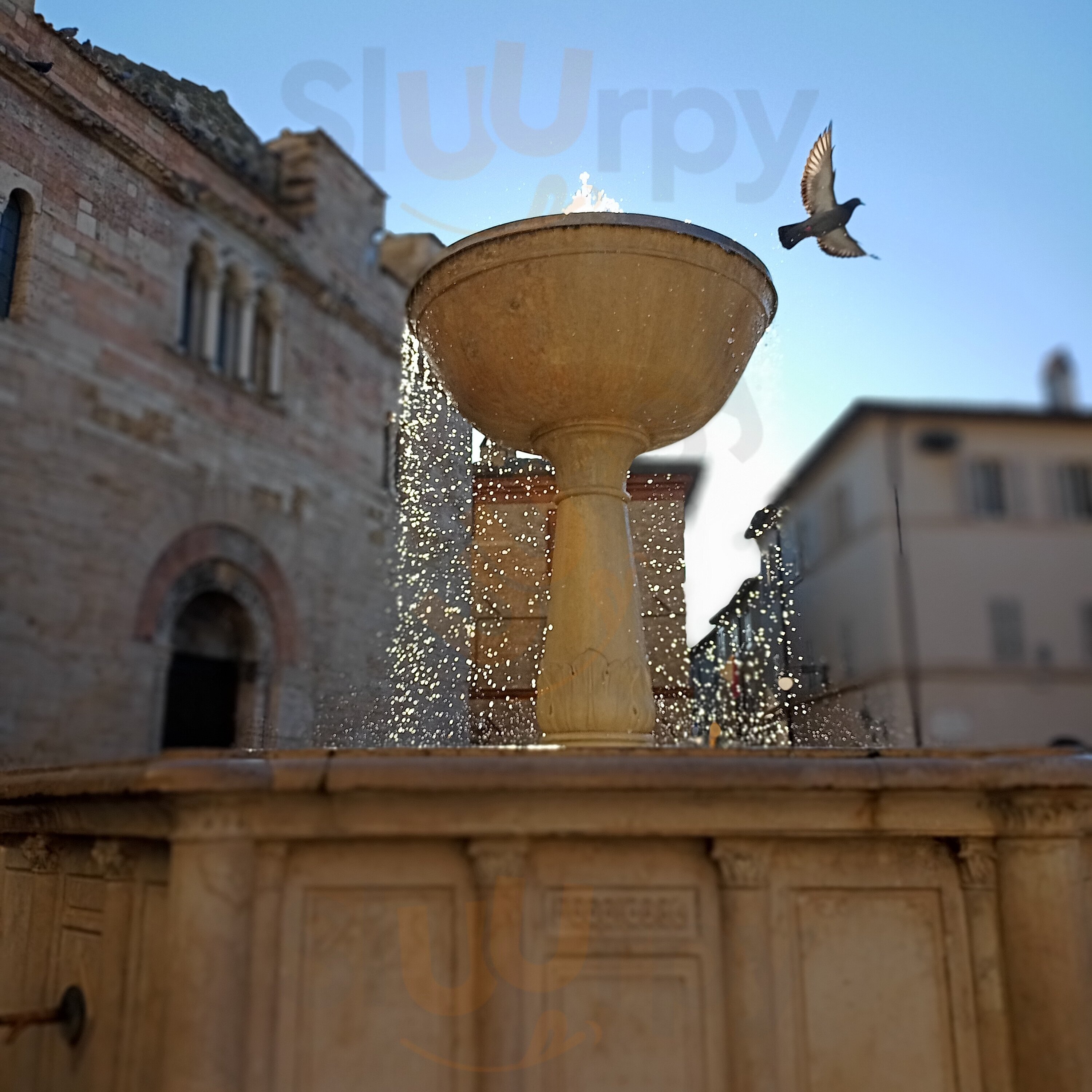 Bar Colonna, Bevagna