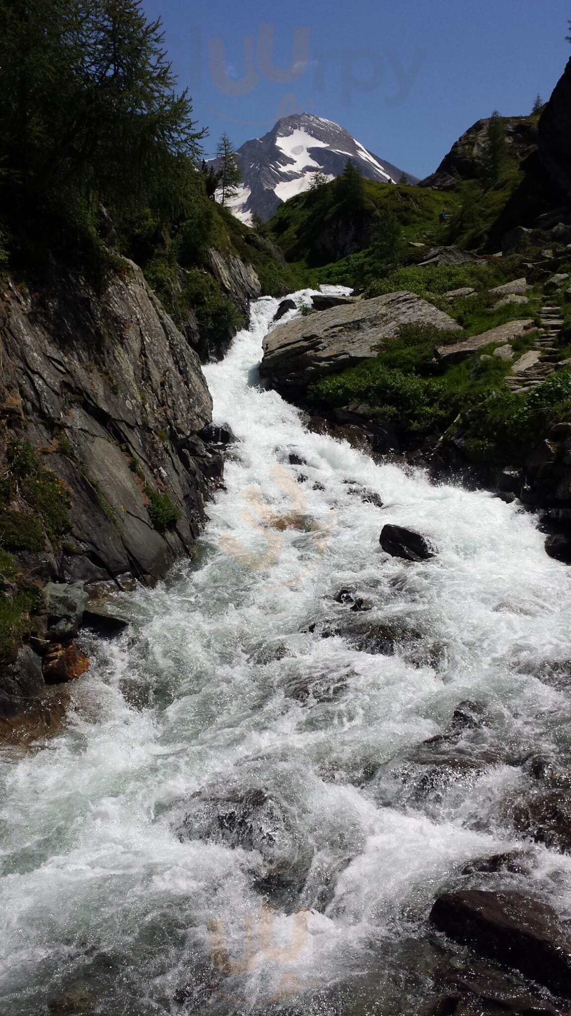 Foto di Malga Rossa - Rötalm - 7/7