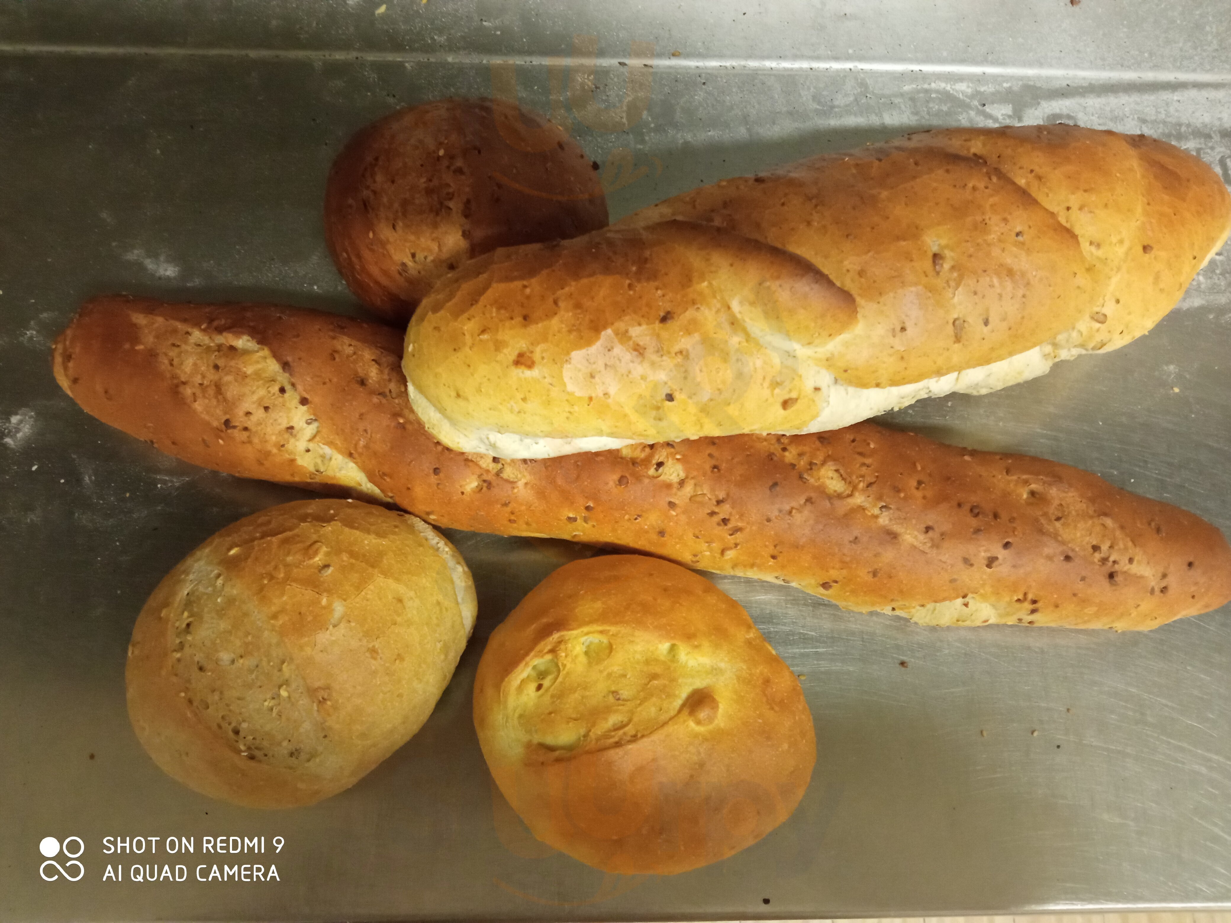 Il Pane Di Viorica, Velo Veronese