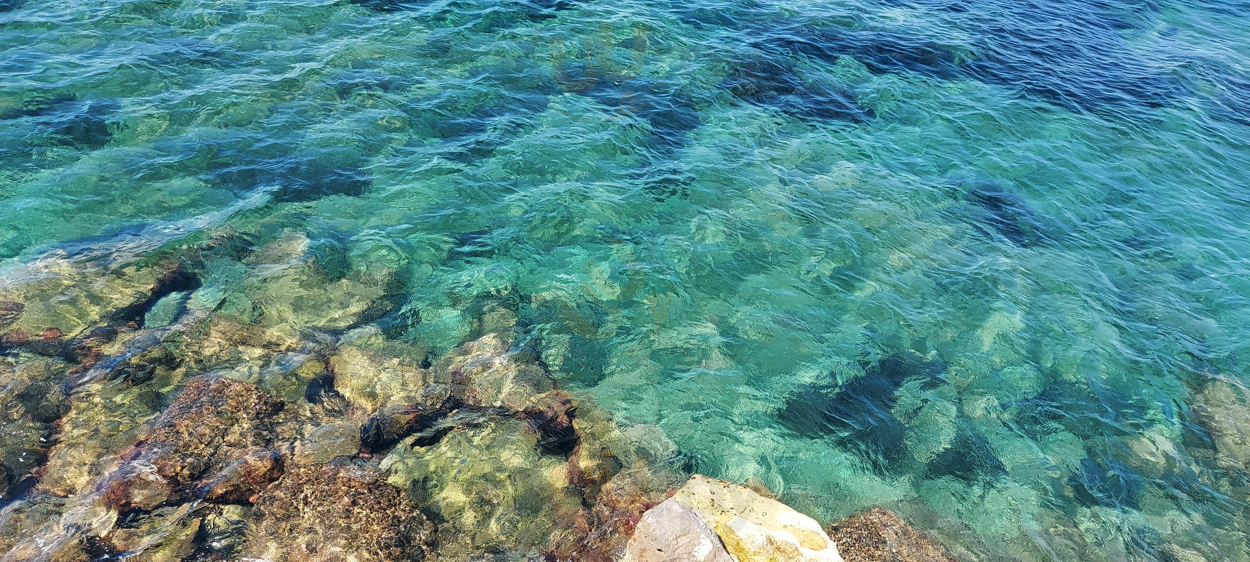 Foto di Mala Beach Club - 9/10