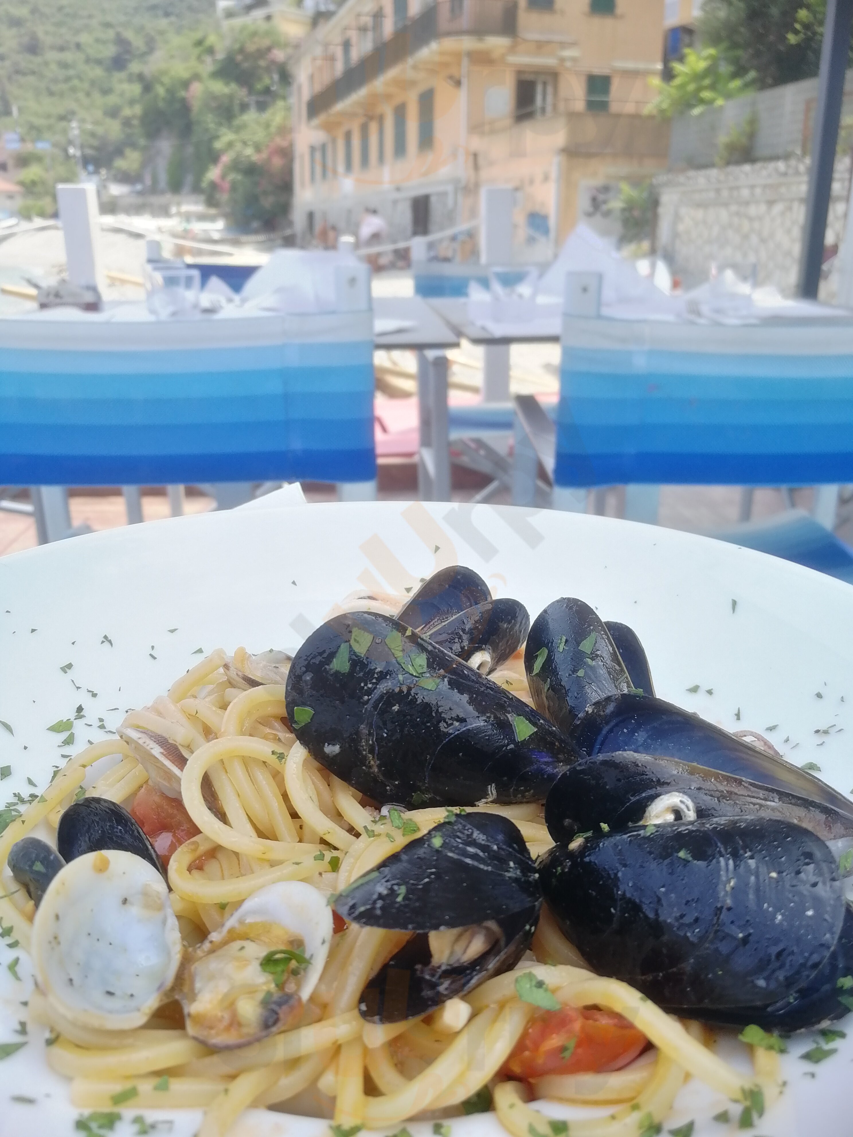 Sci Nautico Ristorante Noli, Noli