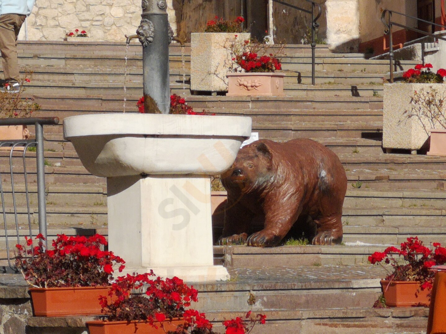 Foto 3 di La Tana Dell'orso