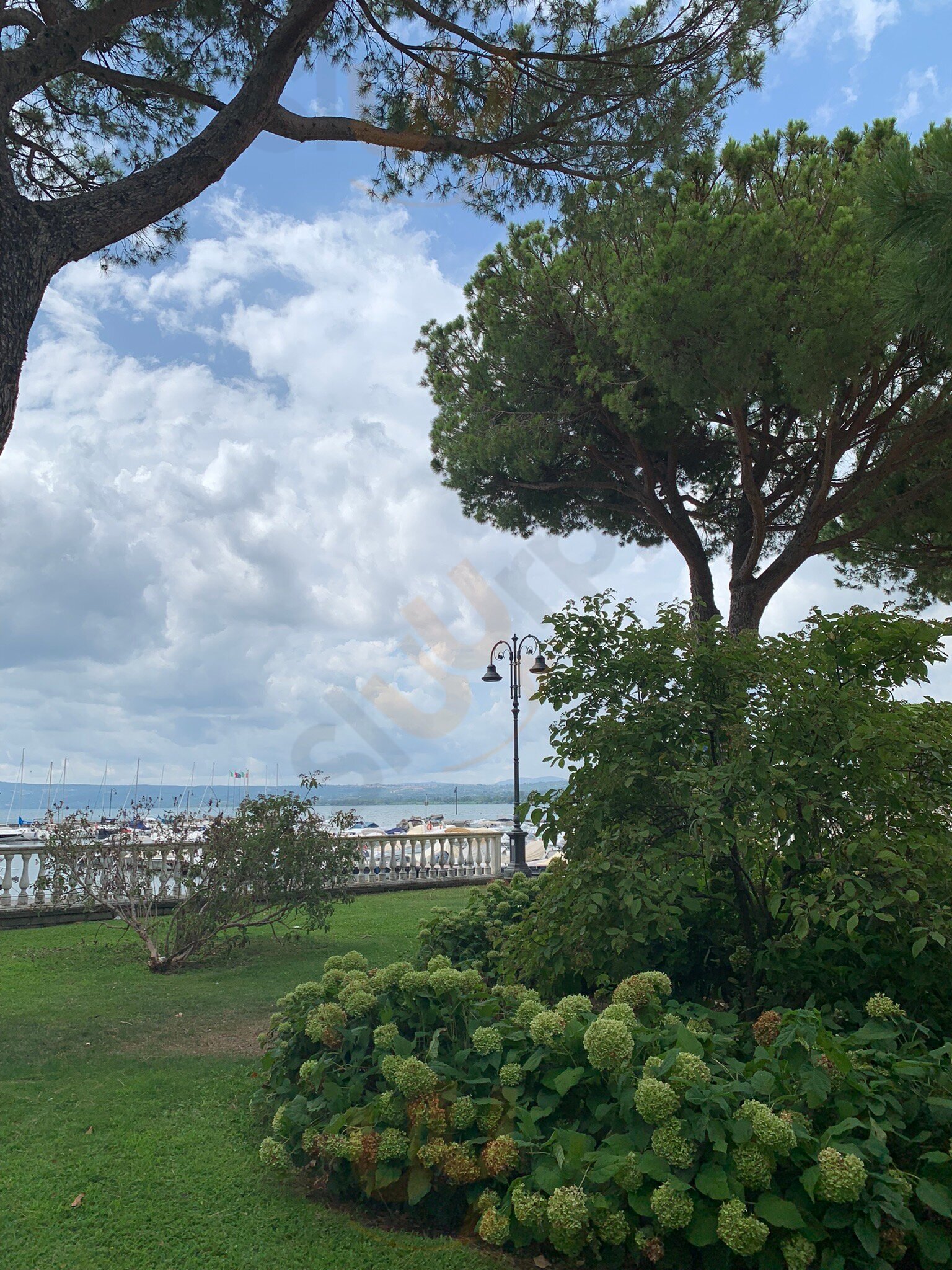 Bar Del Porto ...giù Da Ezio, Bolsena