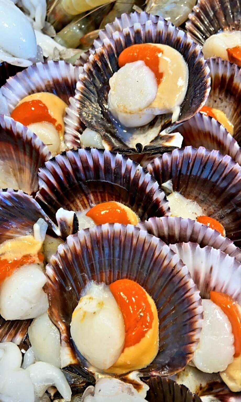 Foto di Gustamare - 7/10