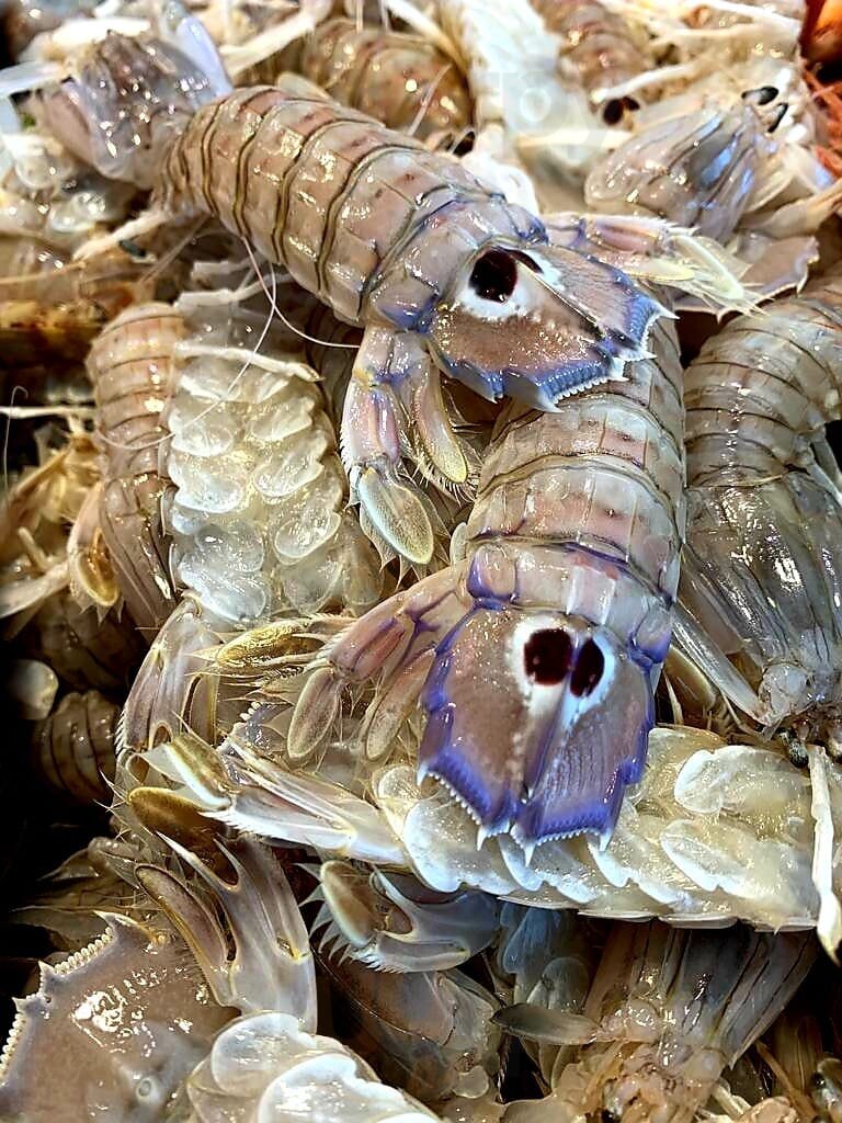 Foto di Gustamare - 8/10