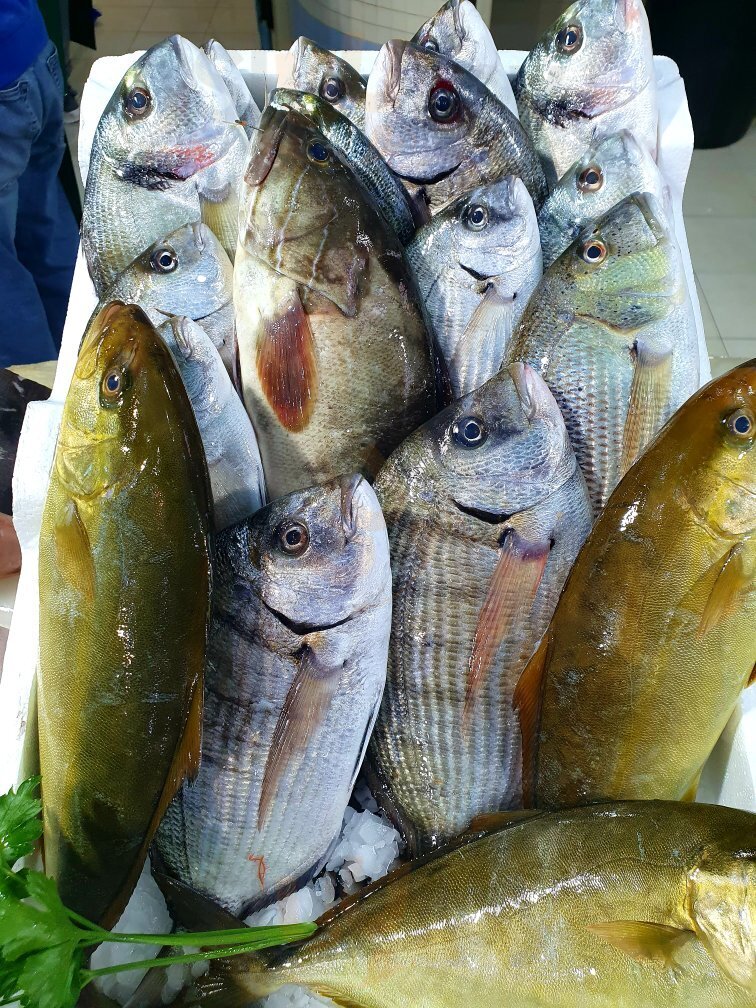 Foto di Pescheria Mare Vivo - 8/10