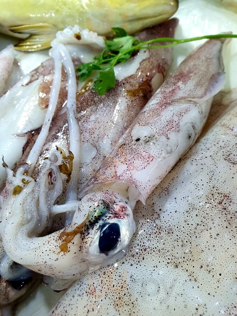 Foto di Pescheria Mare Vivo - 10/10