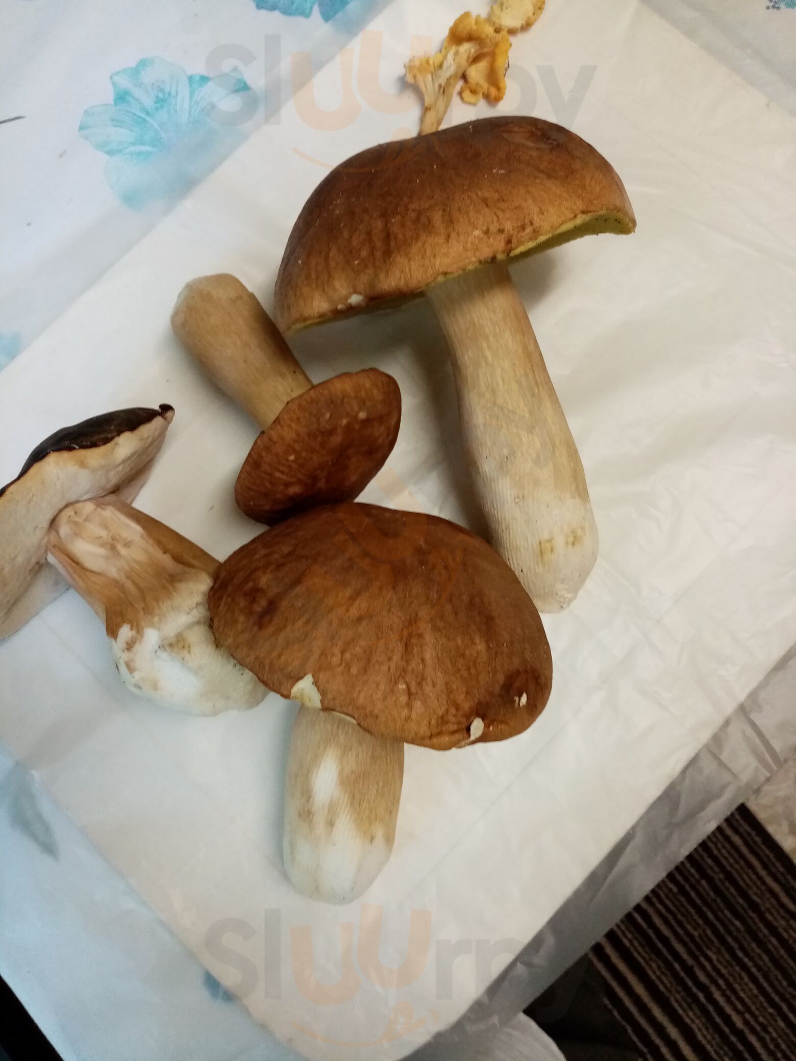 Foto 5
