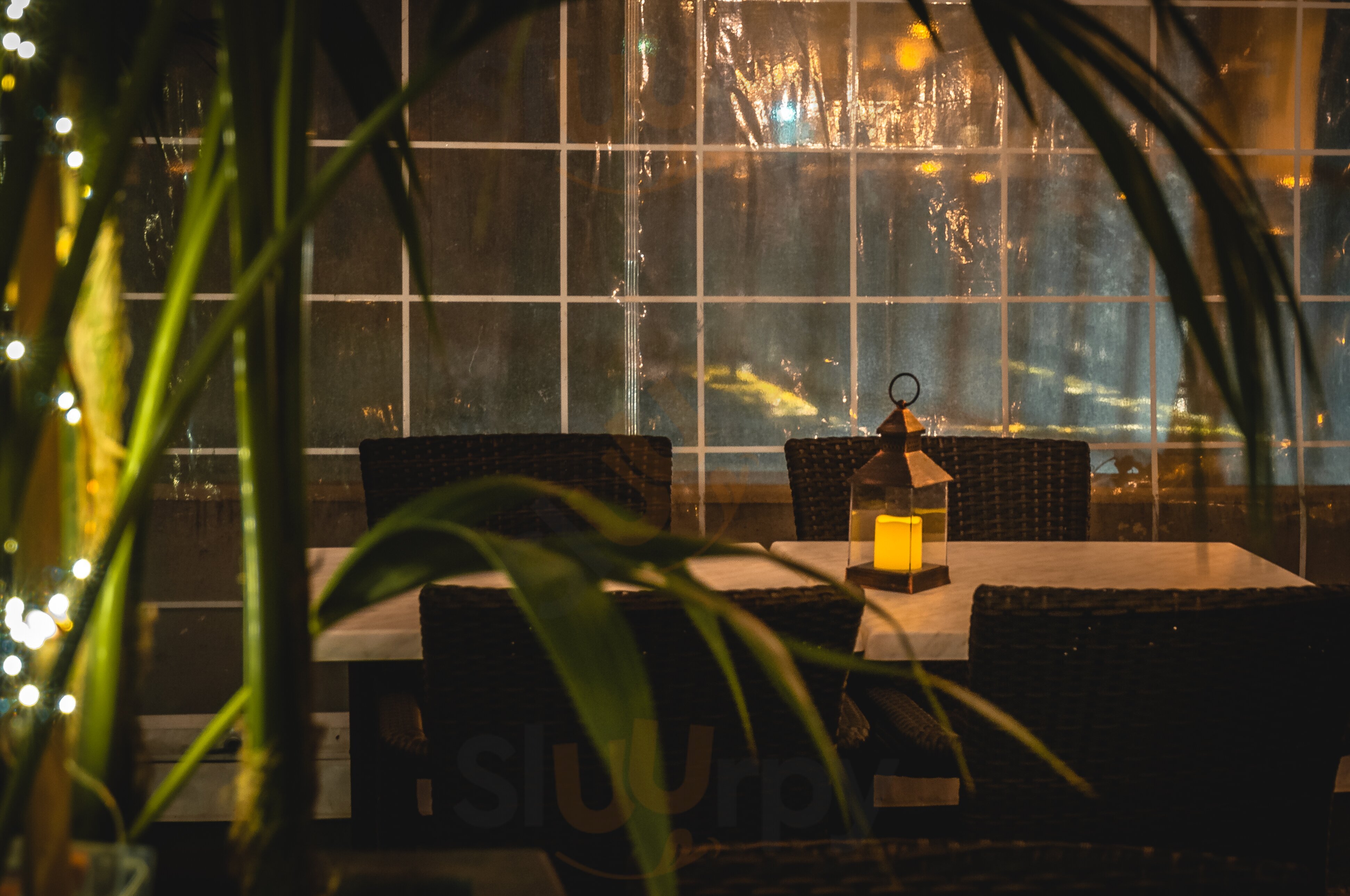 Foto di Leaf Bar - 7/10